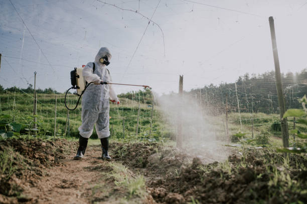 Best Affordable Pest Control Services  in Dakota Ridge, CO