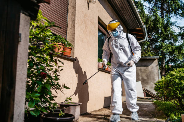 Best Insect Control  in Dakota Ridge, CO