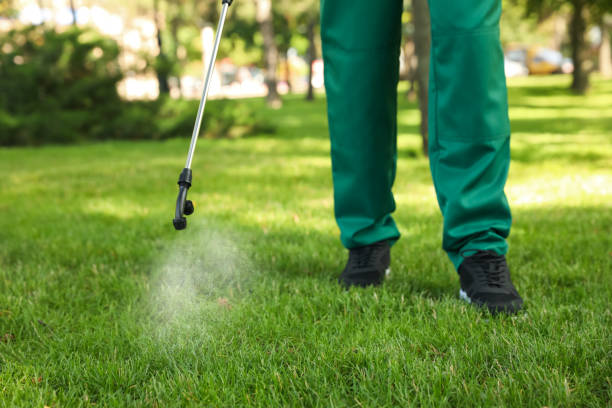 Best Pest Prevention Services  in Dakota Ridge, CO