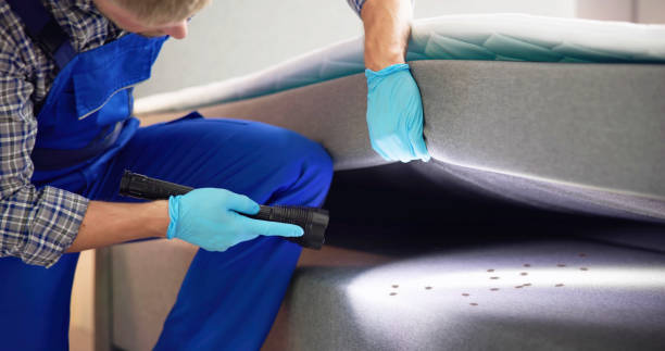 Best Mosquito Control Services  in Dakota Ridge, CO