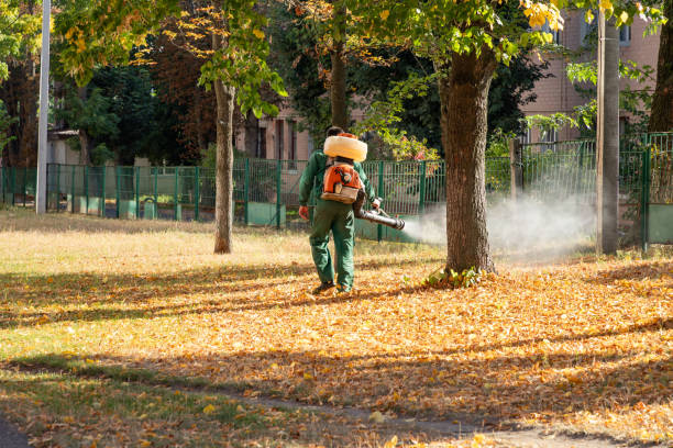 Best Commercial Pest Control Services  in Dakota Ridge, CO